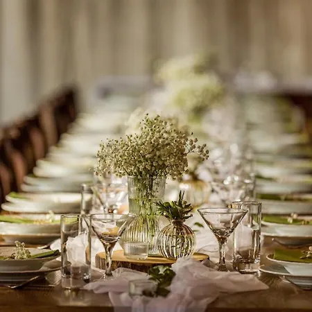 Scarlett & Restaurant Πανσιόν 3*