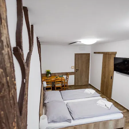 Scarlett Pension&restaurant Veľký Meder