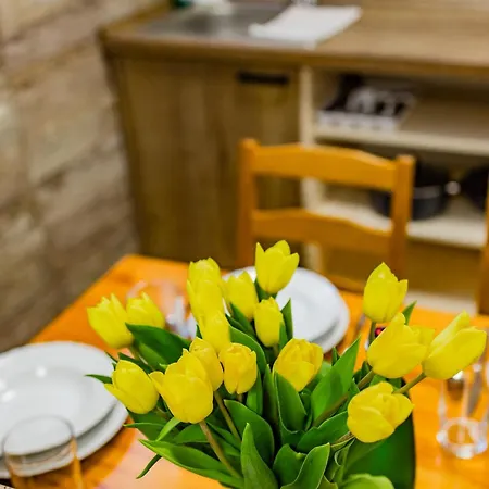 Scarlett & Restaurant Velky Meder
