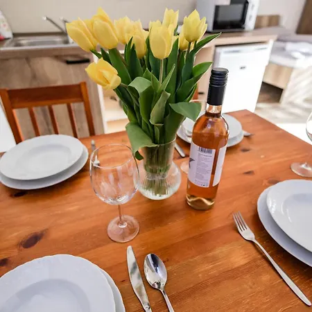 Scarlett & Restaurant Πανσιόν Veľký Meder